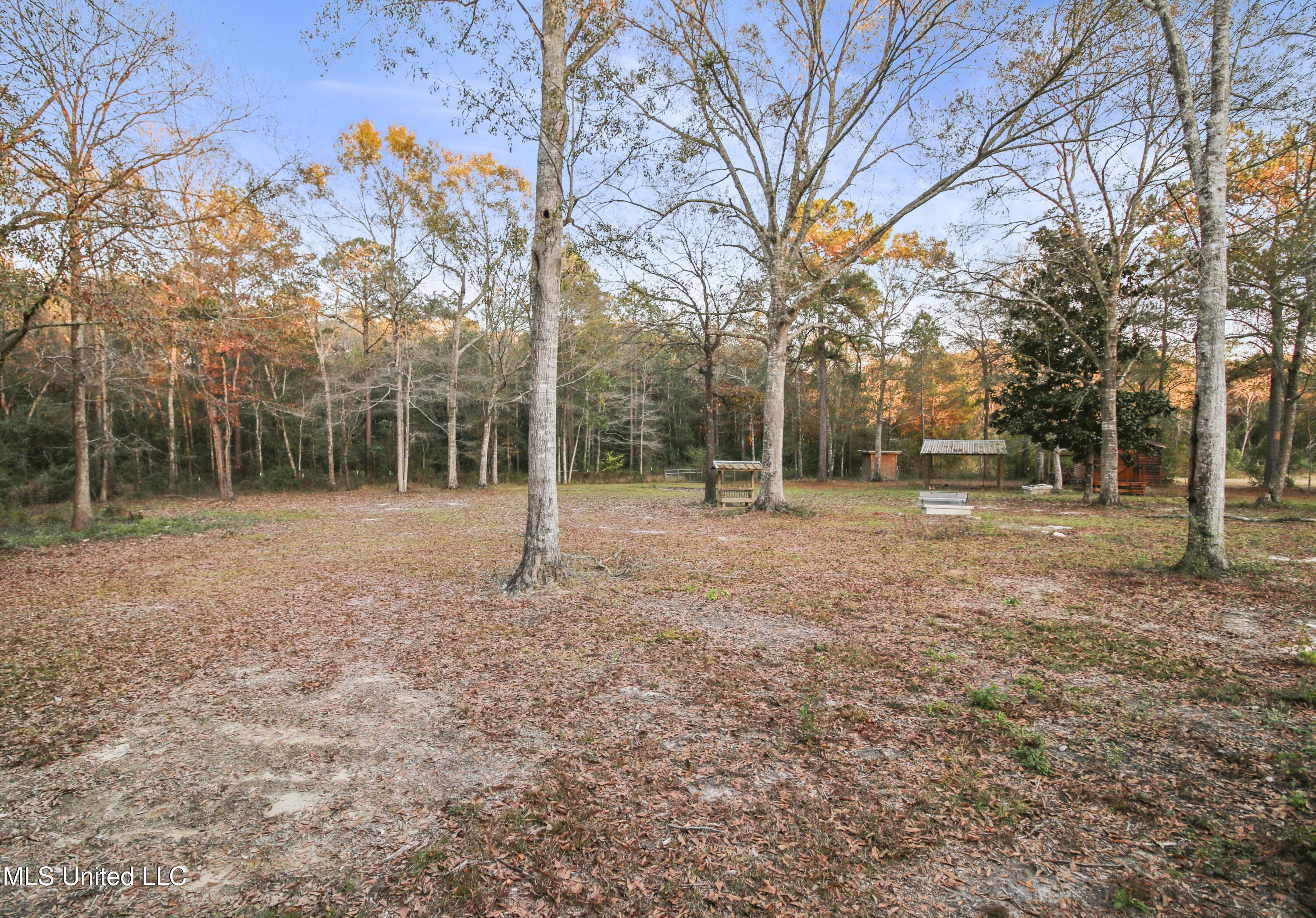 17542 Jones Lane Property Photo 35