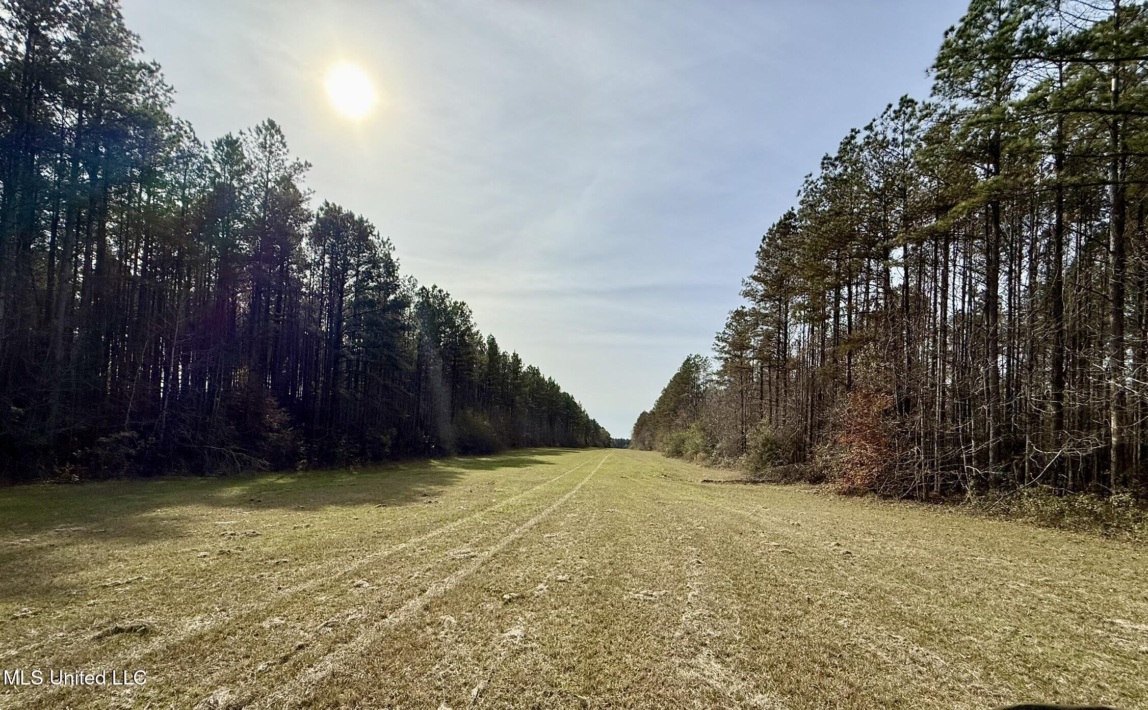 Ratliff Ferry Road Property Photo 5