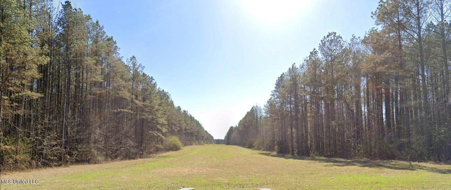 Ratliff Ferry Road Property Photo 6