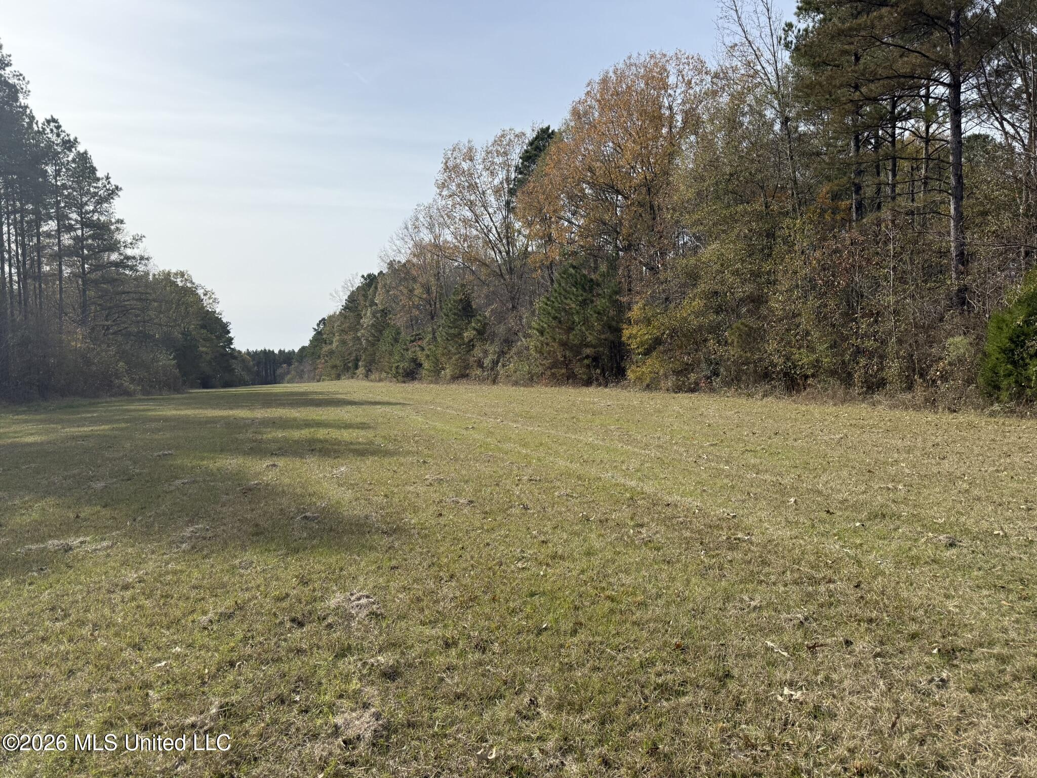 Ratliff Ferry Road Property Photo 7