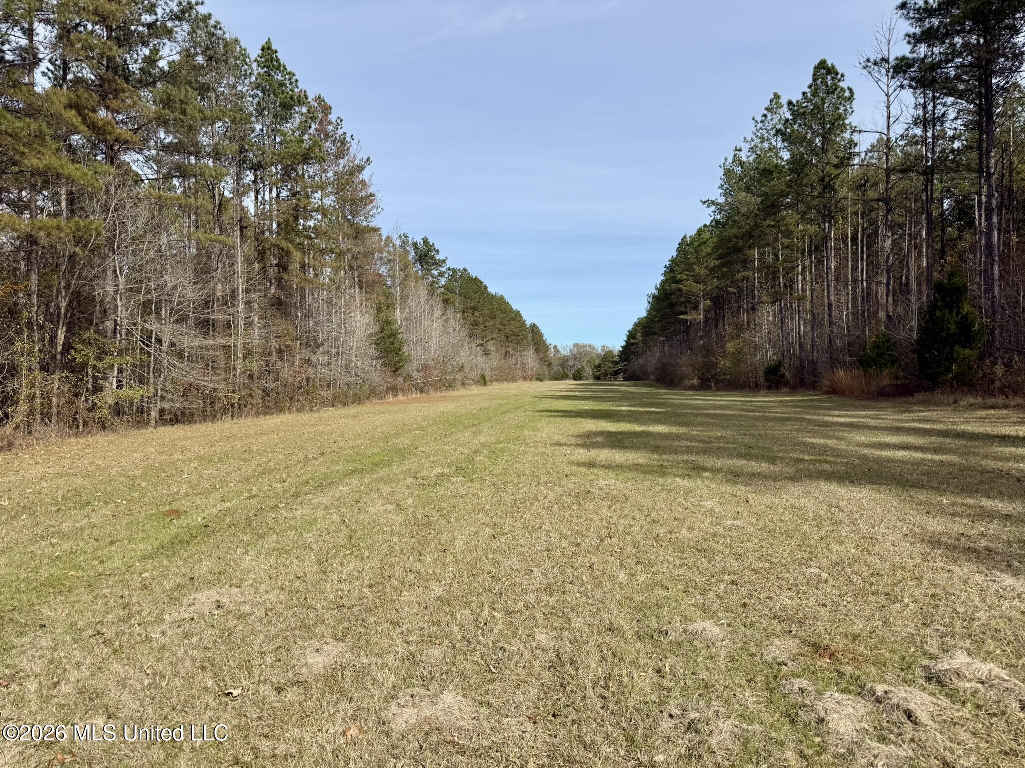 Ratliff Ferry Road Property Photo 8
