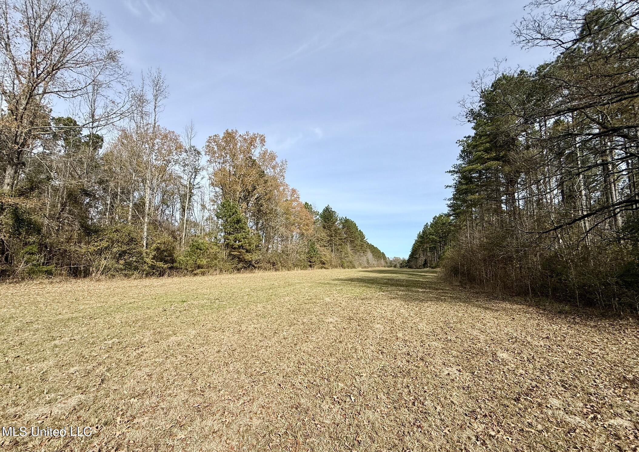 Ratliff Ferry Road Property Photo 9