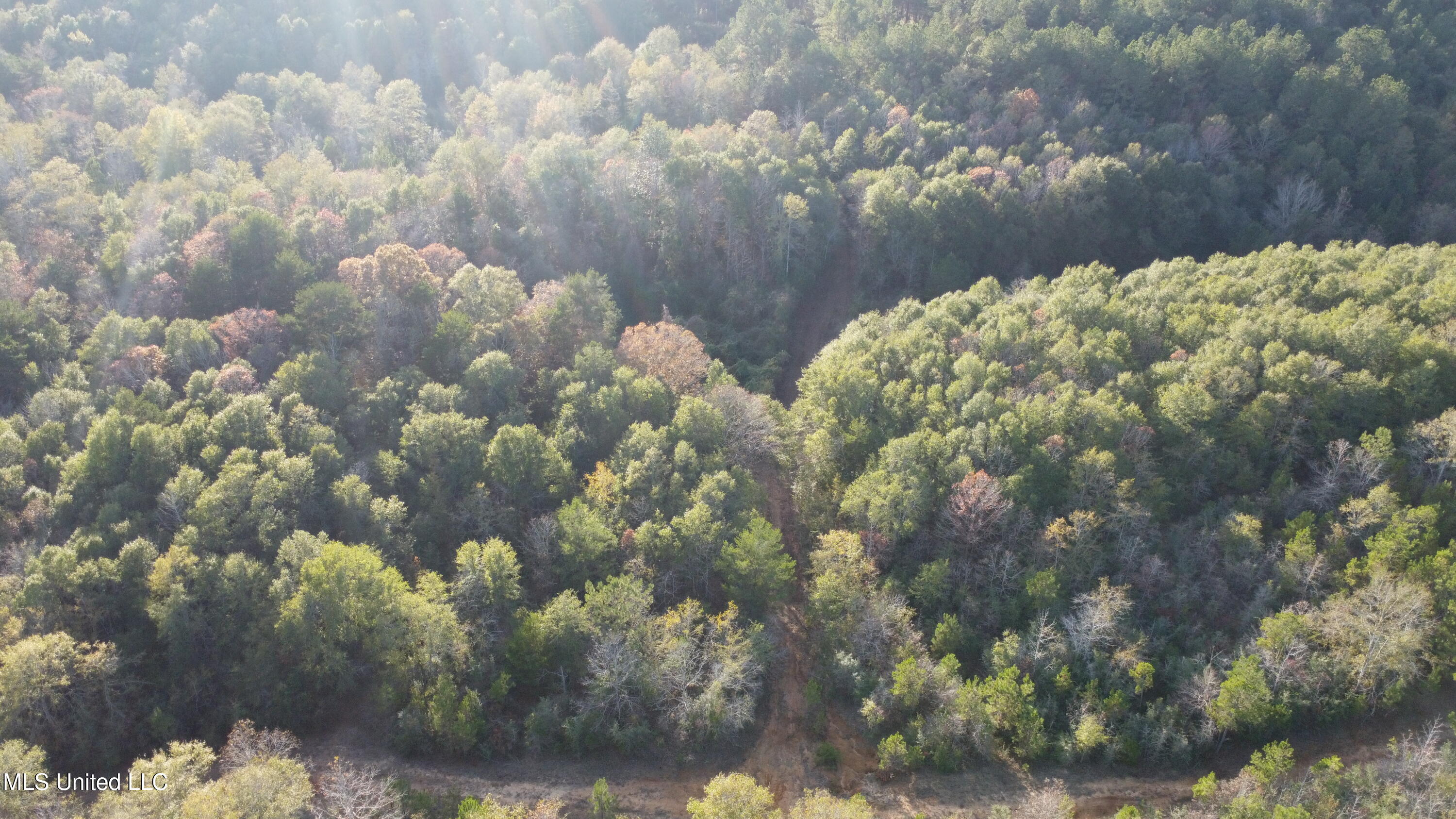 10 Mile Creek Road Property Photo 6