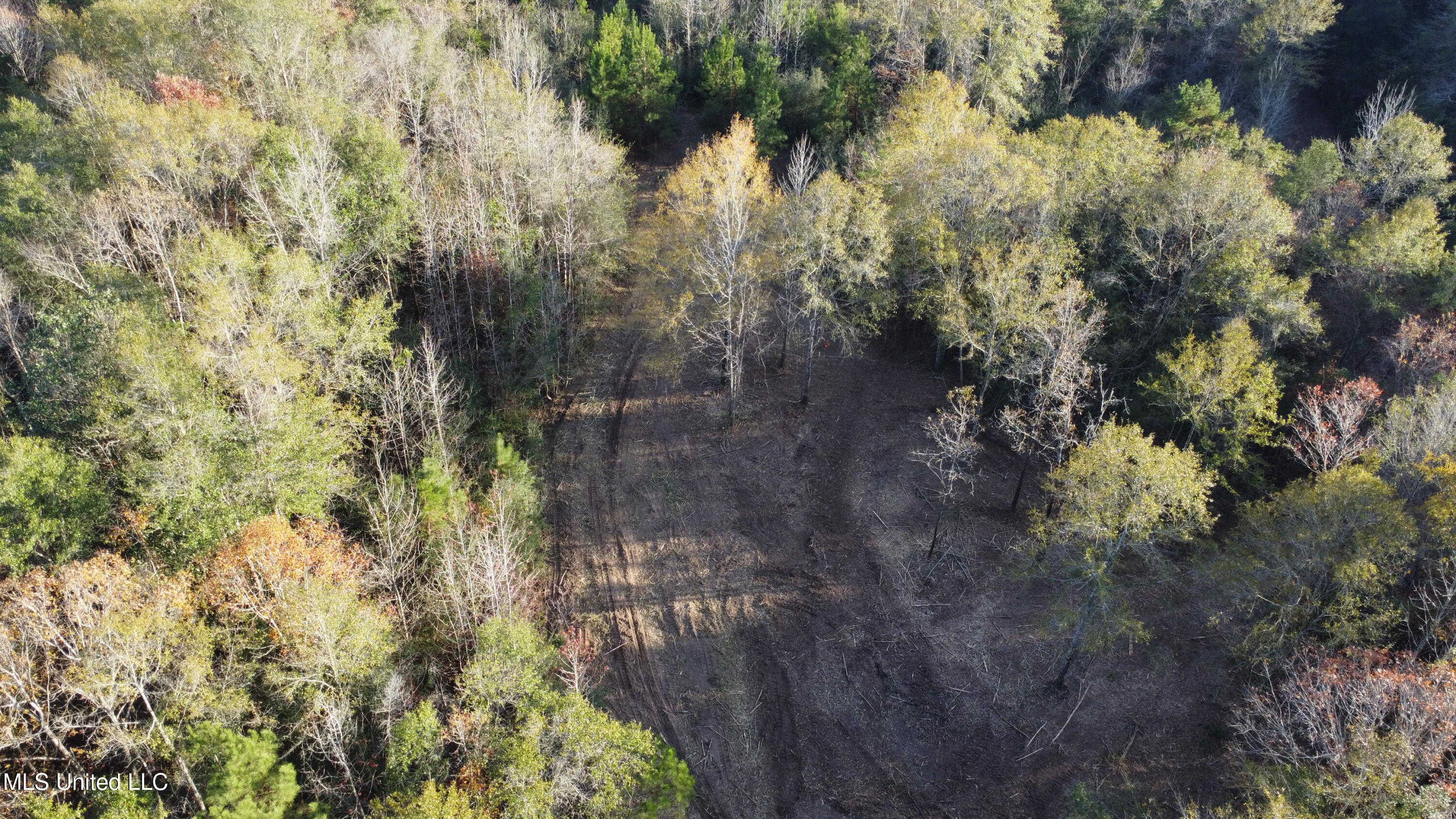 10 Mile Creek Road Property Photo 7