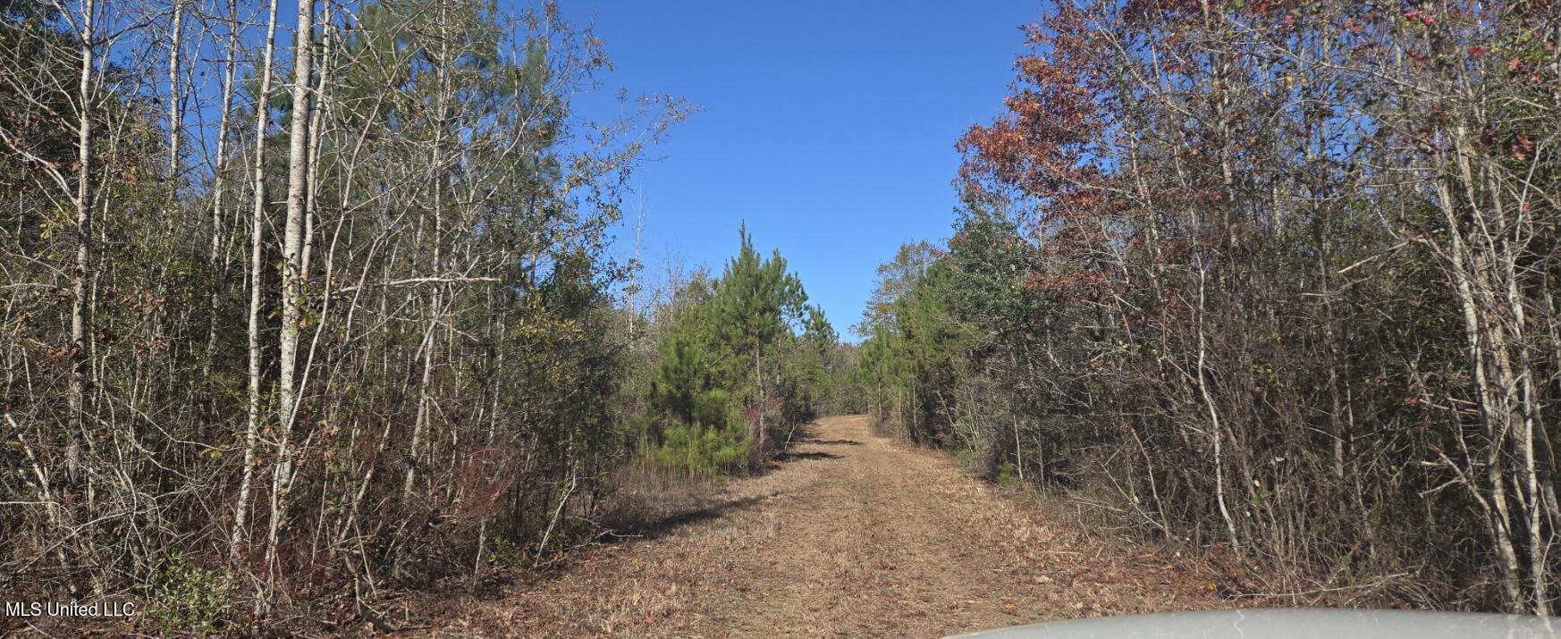 10 Mile Creek Road Property Photo 15