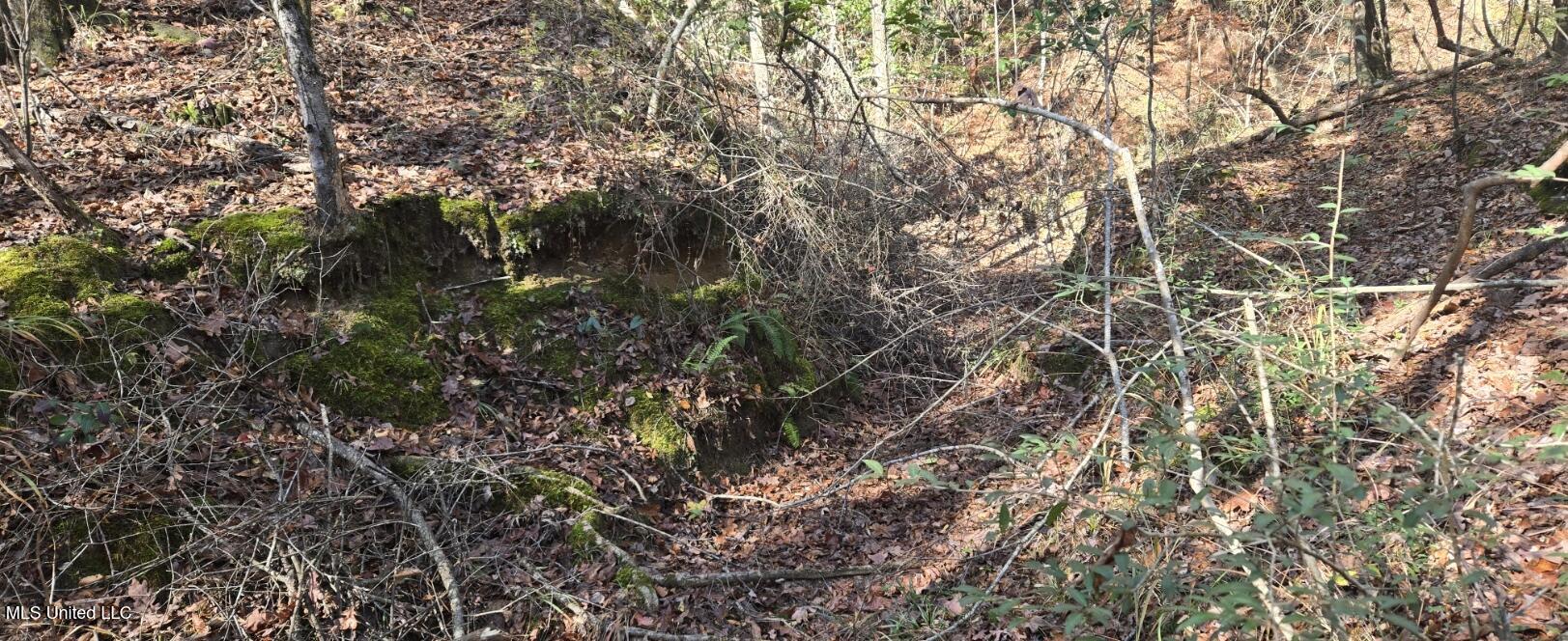 10 Mile Creek Road Property Photo 27