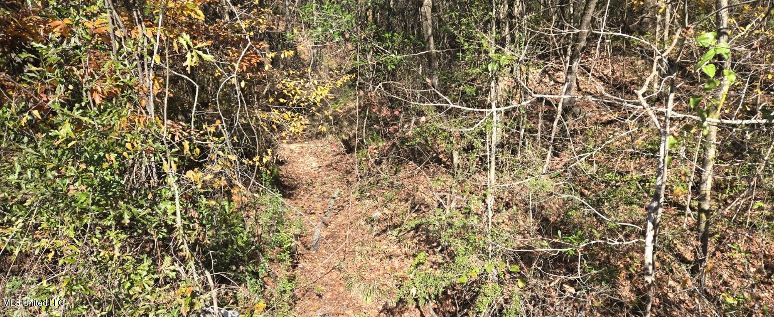 10 Mile Creek Road Property Photo 33
