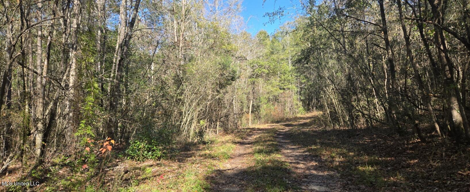 10 Mile Creek Road Property Photo 37