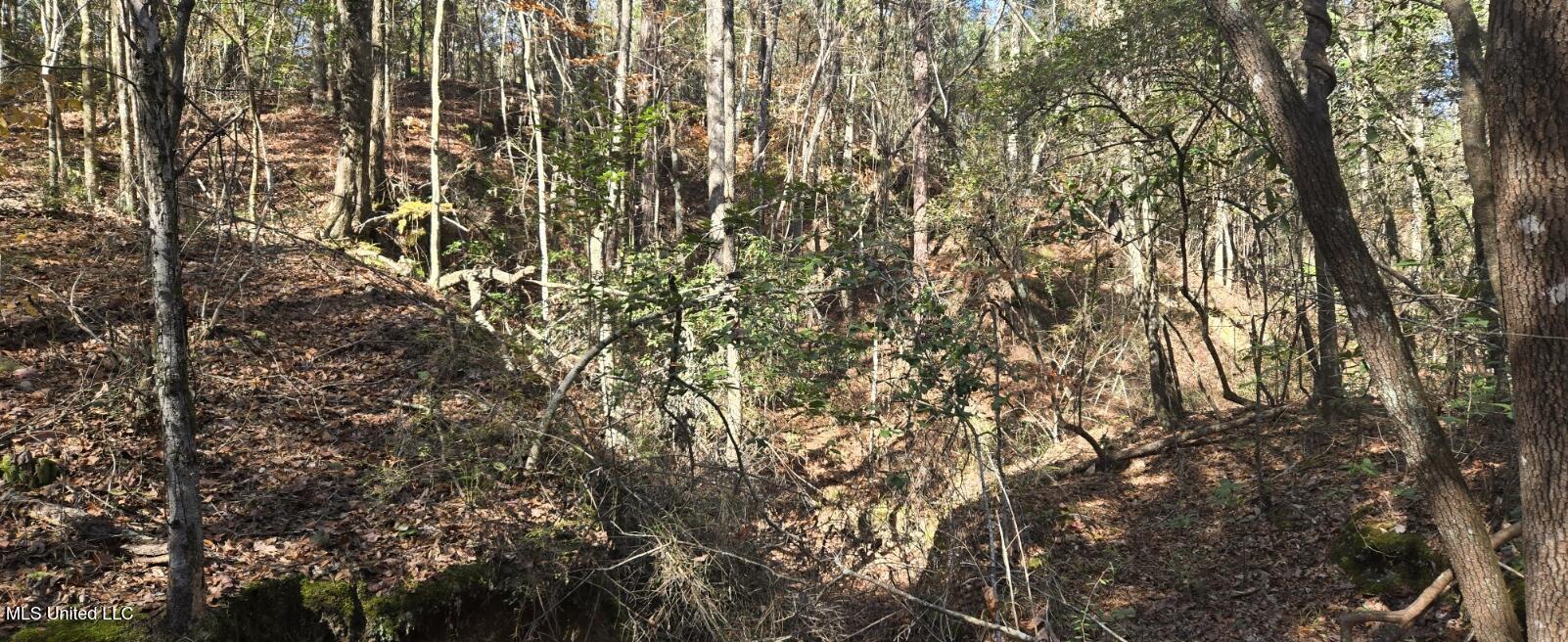 10 Mile Creek Road Property Photo 46