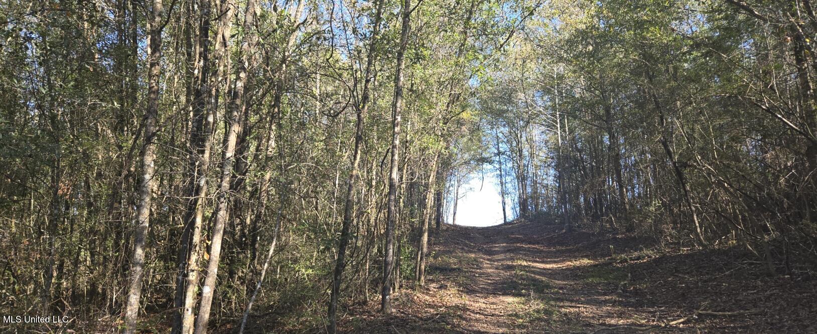 10 Mile Creek Road Property Photo 58