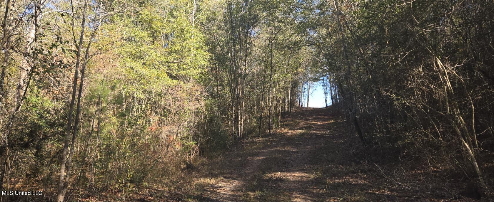 10 Mile Creek Road Property Photo 60