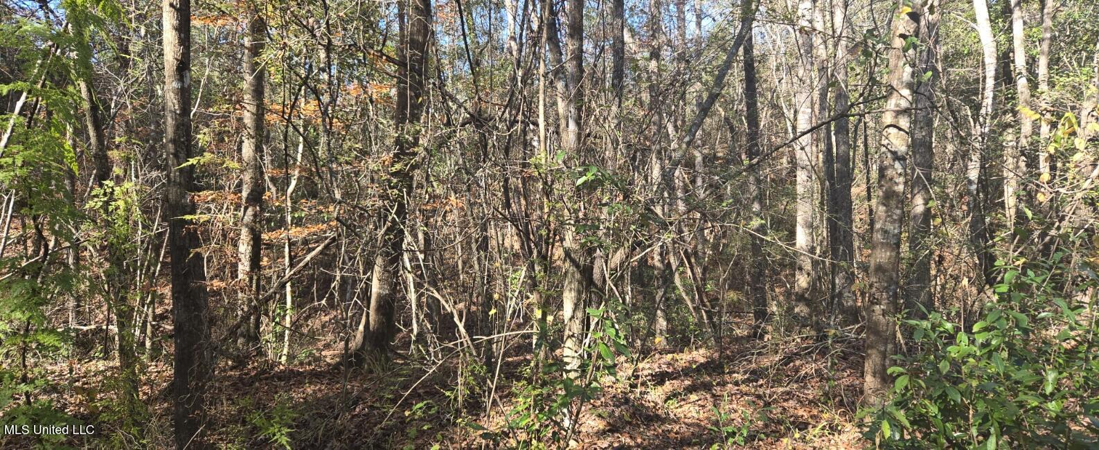 10 Mile Creek Road Property Photo 61