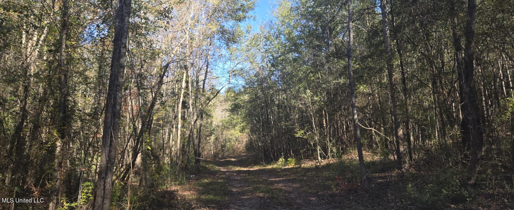 10 Mile Creek Road Property Photo 63
