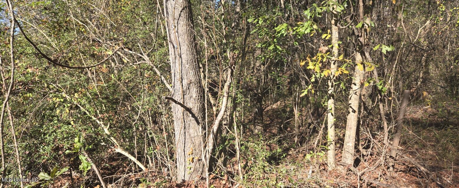 10 Mile Creek Road Property Photo 64