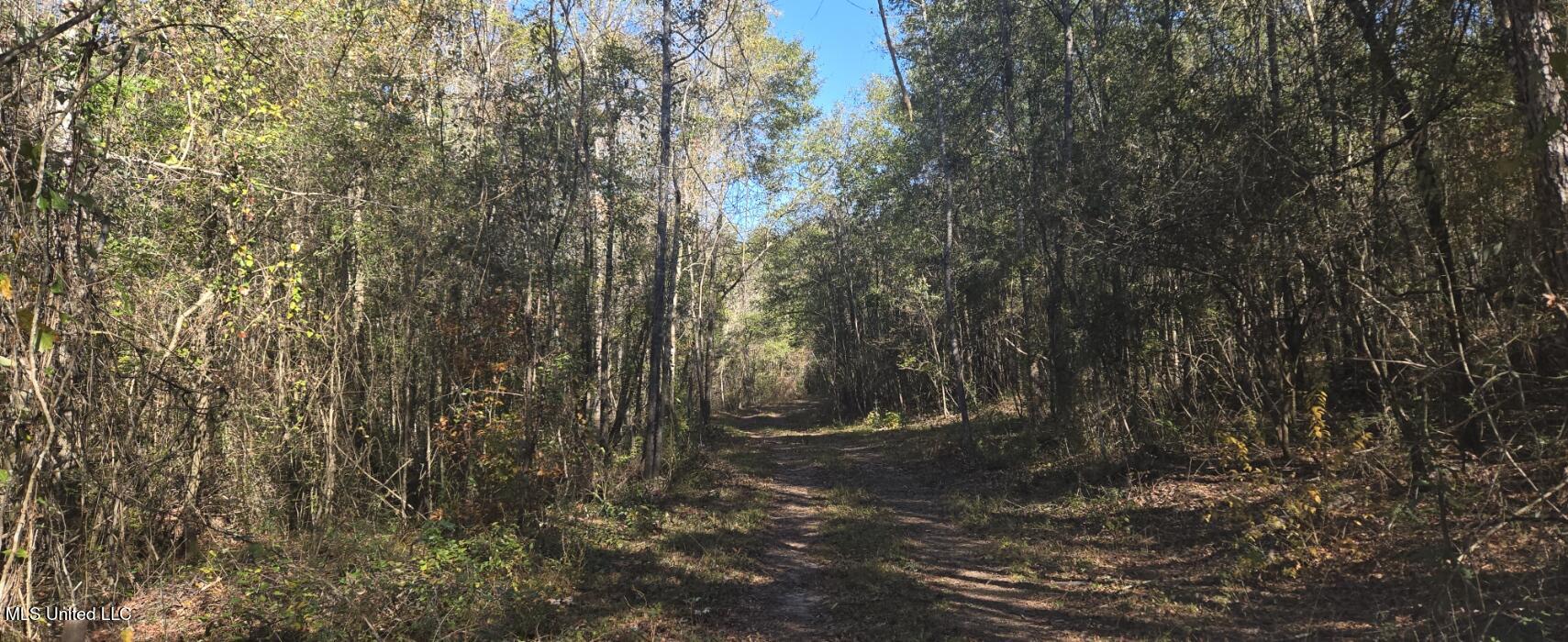 10 Mile Creek Road Property Photo 66