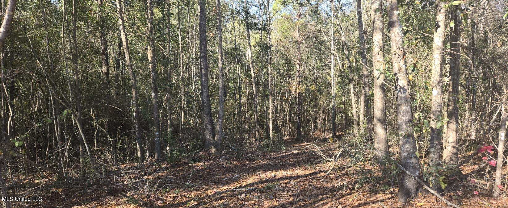 10 Mile Creek Road Property Photo 71