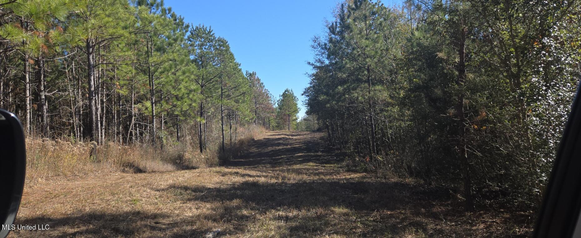 10 Mile Creek Road Property Photo 81
