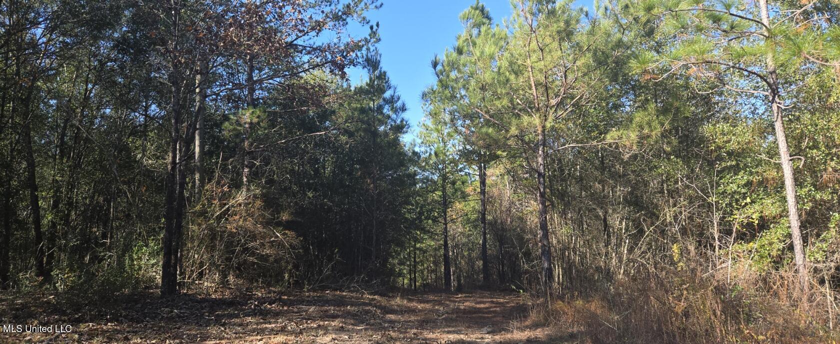 10 Mile Creek Road Property Photo 84