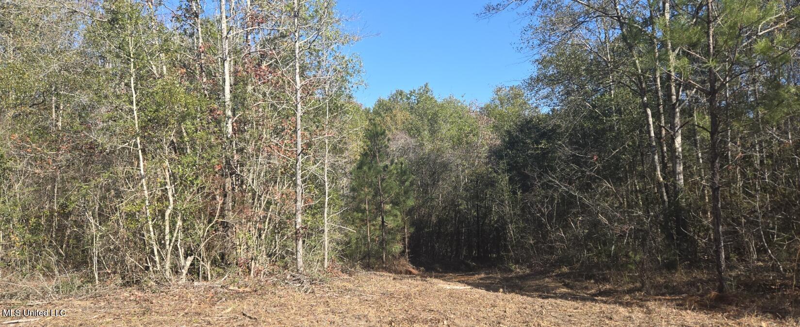 10 Mile Creek Road Property Photo 88