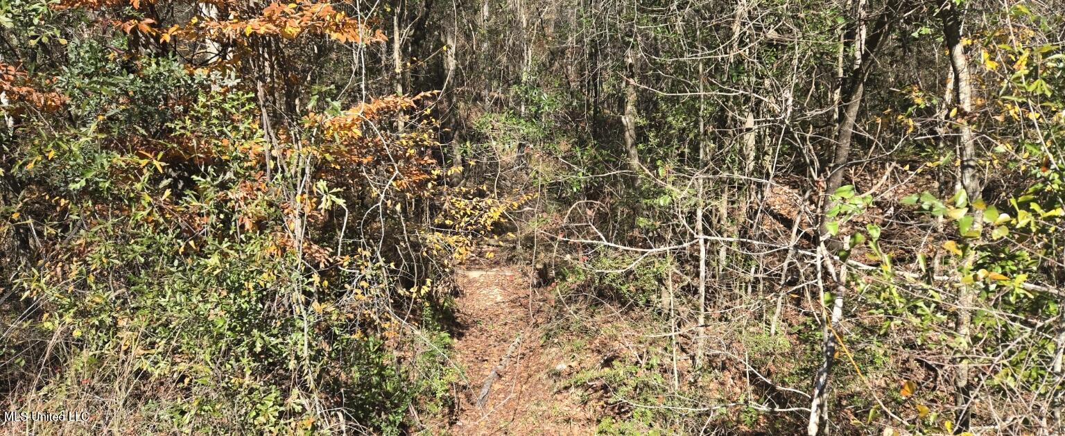 10 Mile Creek Road Property Photo 106