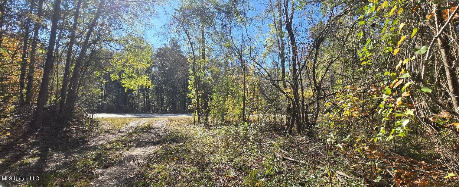 10 Mile Creek Road Property Photo 110