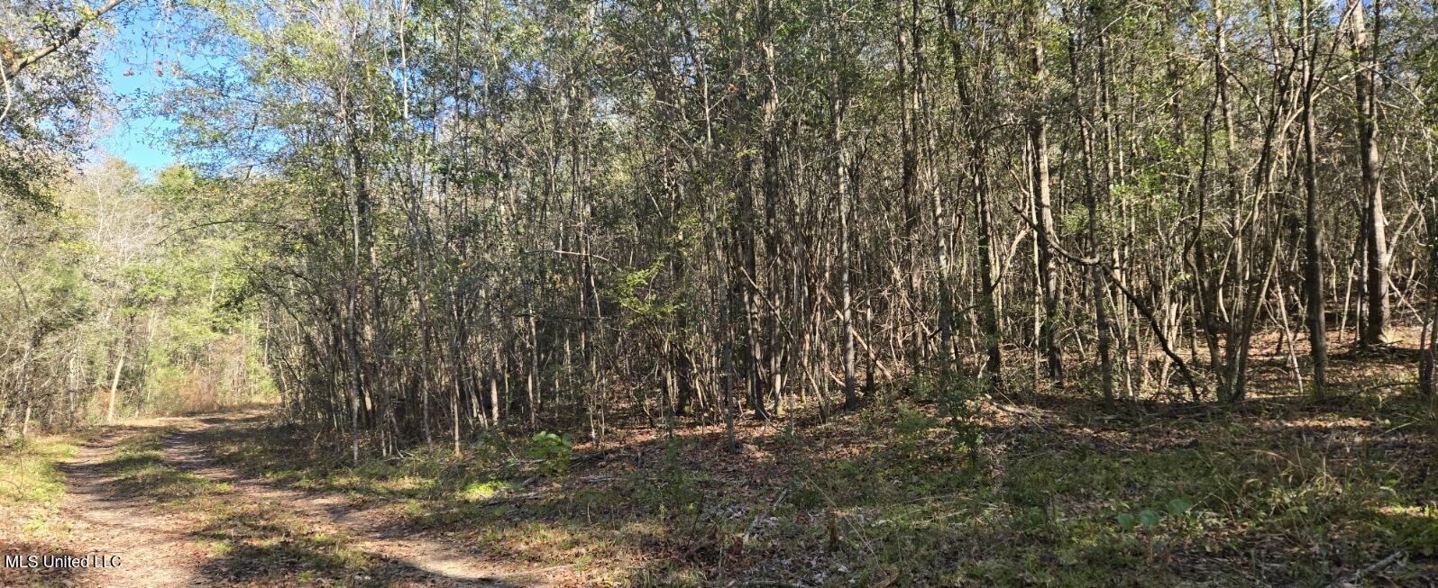 10 Mile Creek Road Property Photo 111