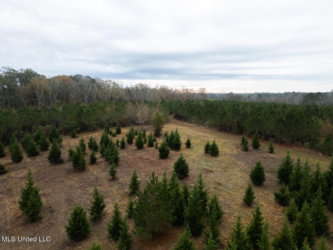 3448 Lower Centreville Road Property Photo 2