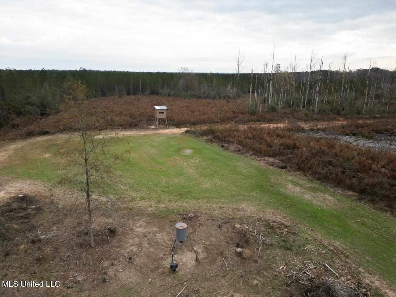 3448 Lower Centreville Road Property Photo 6