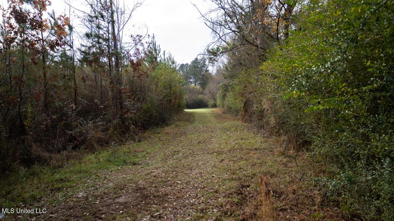 3448 Lower Centreville Road Property Photo 13