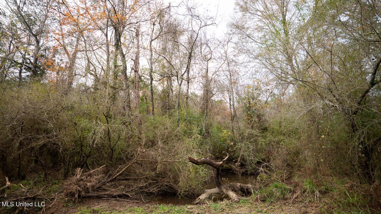 3448 Lower Centreville Road Property Photo 15
