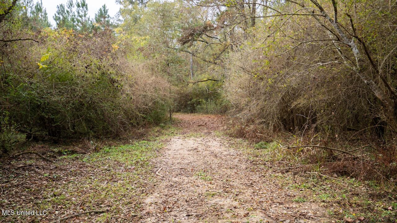 3448 Lower Centreville Road Property Photo 16