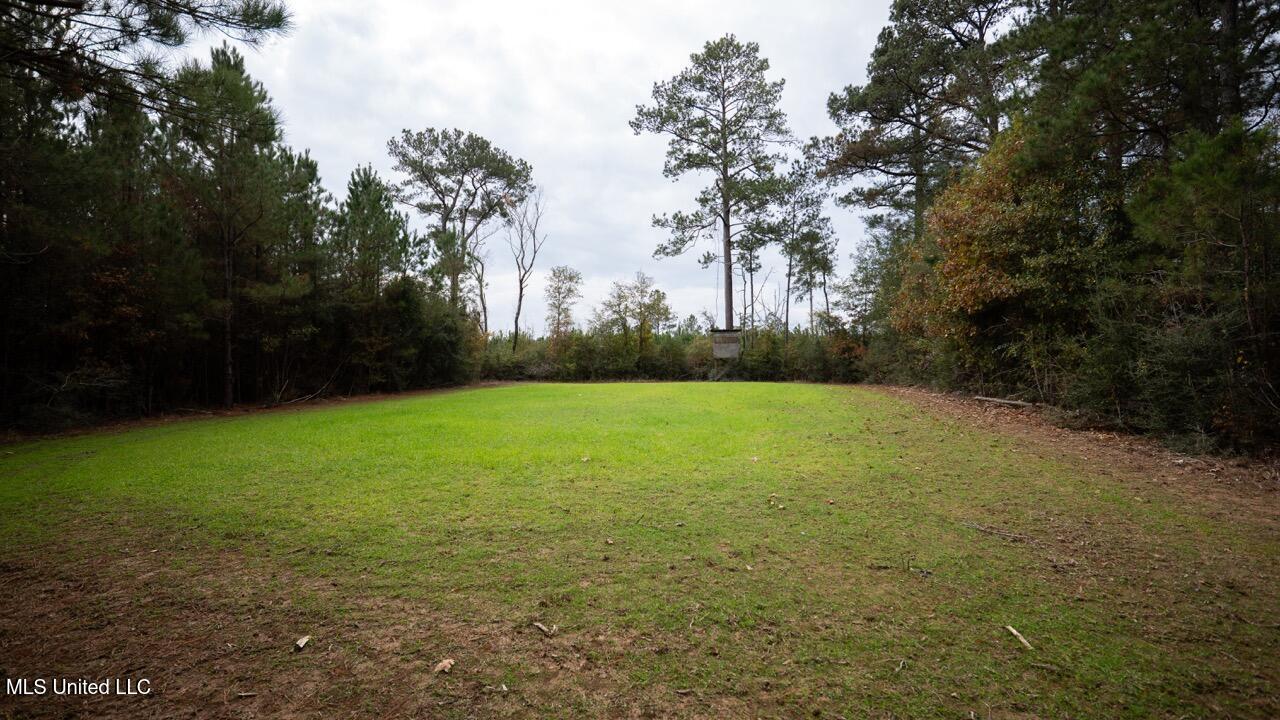 3448 Lower Centreville Road Property Photo 18
