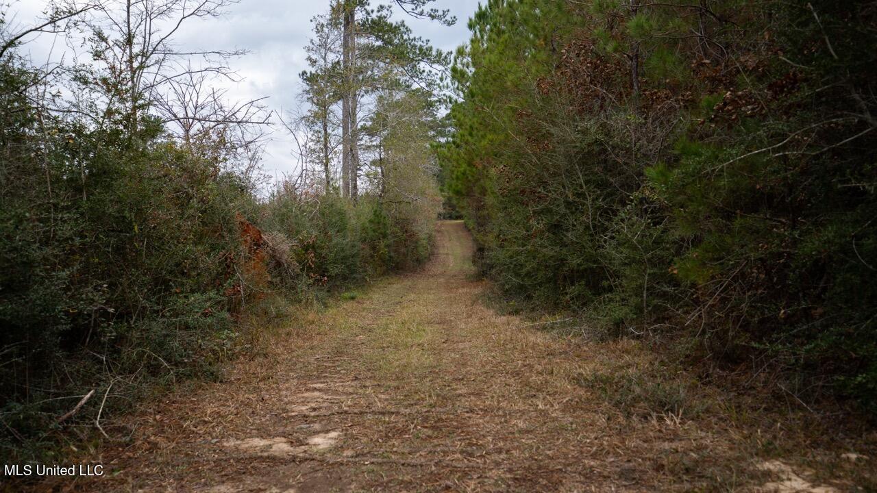 3448 Lower Centreville Road Property Photo 20