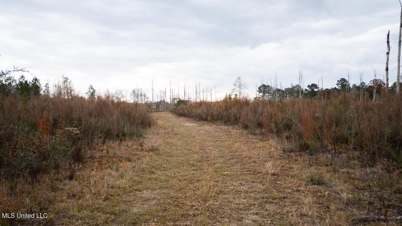 3448 Lower Centreville Road Property Photo 21