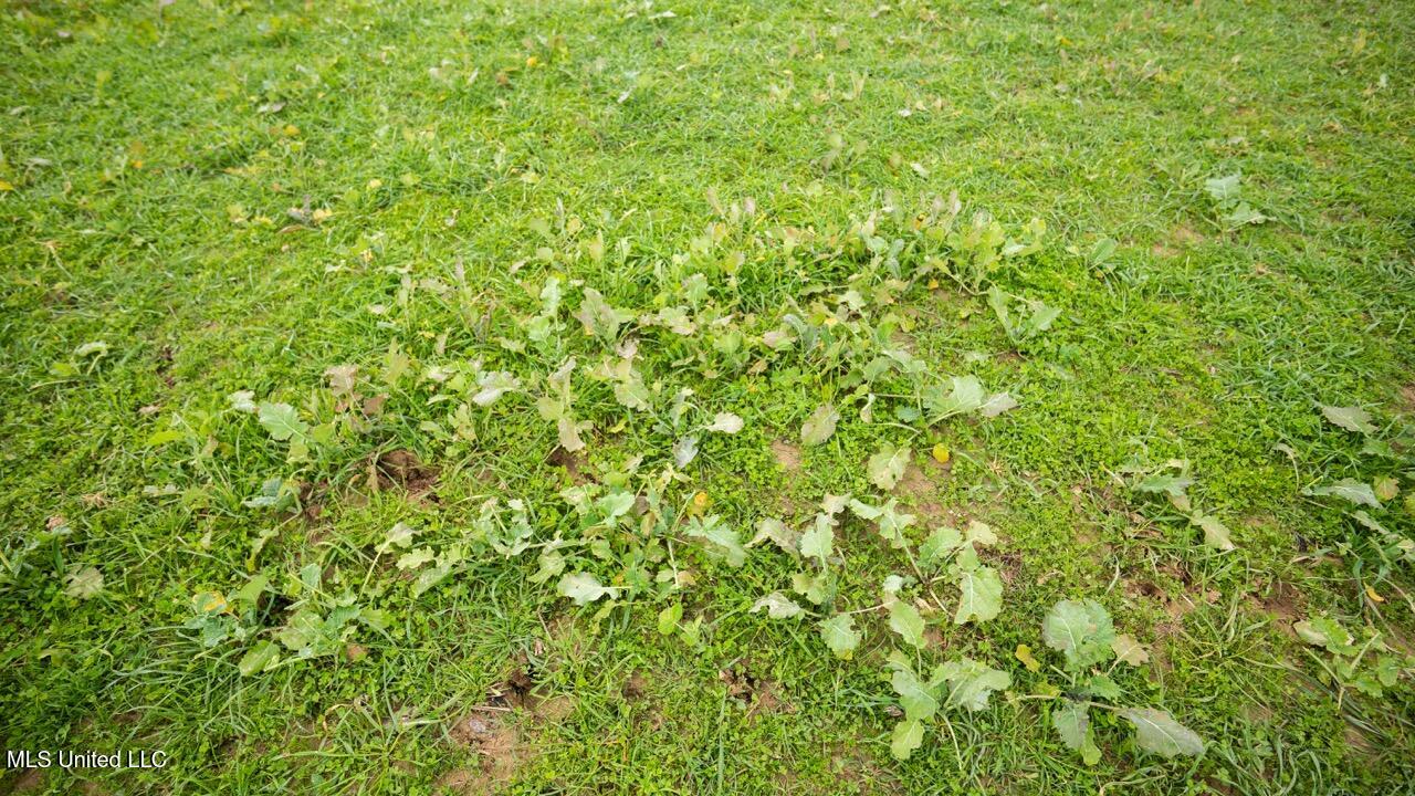 3448 Lower Centreville Road Property Photo 26