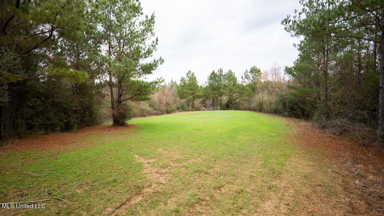 3448 Lower Centreville Road Property Photo 28