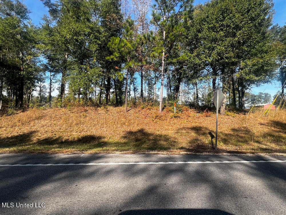 E Highway 198 Property Photo 3