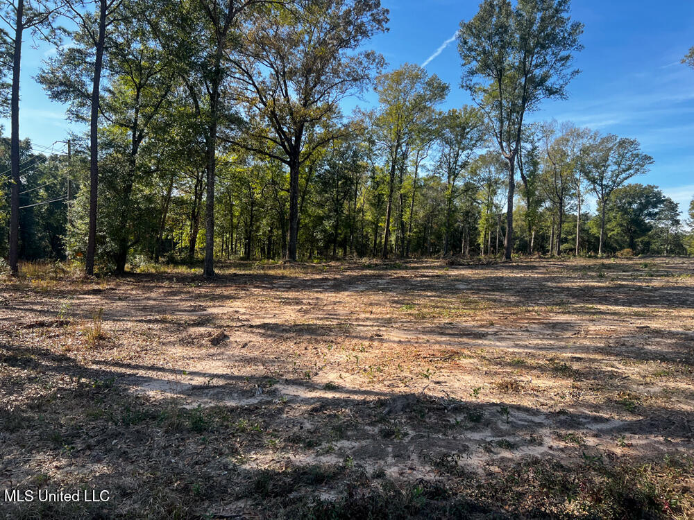 E Highway 198 Property Photo 4
