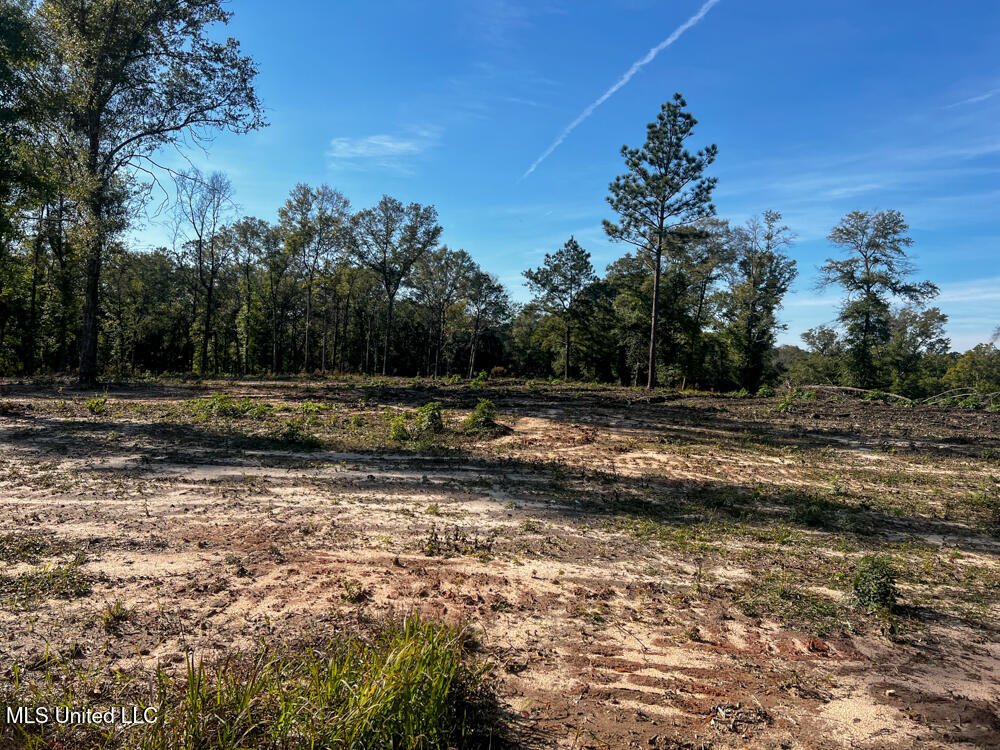 E Highway 198 Property Photo 5