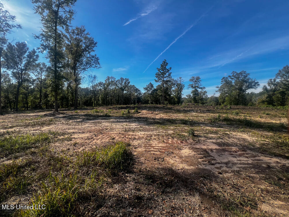 E Highway 198 Property Photo 6