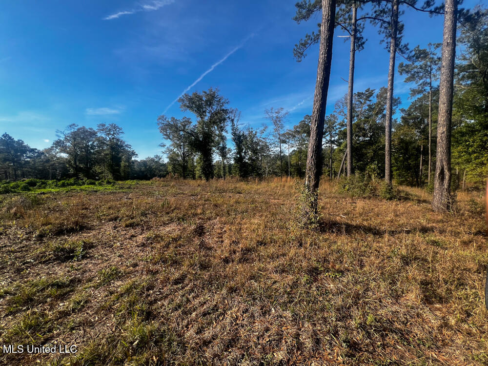 E Highway 198 Property Photo 7