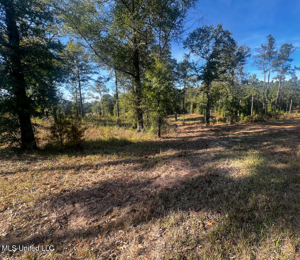 E Highway 198 Property Photo 8
