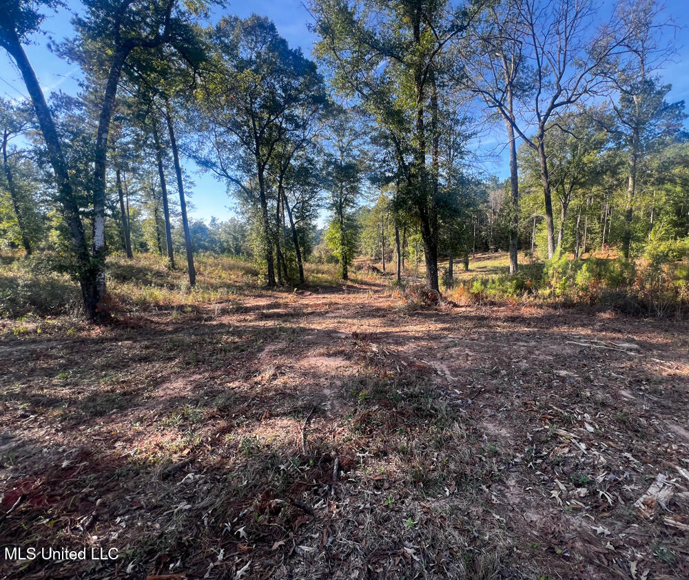 E Highway 198 Property Photo 9