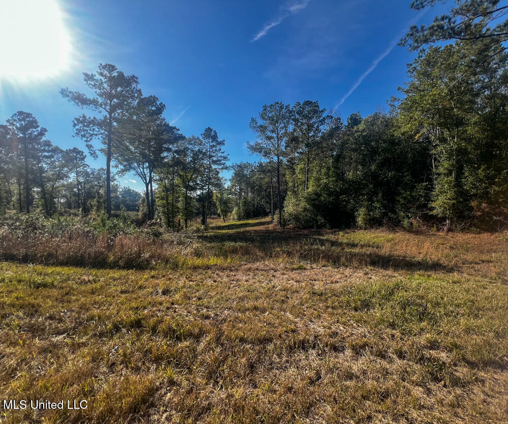E Highway 198 Property Photo 10