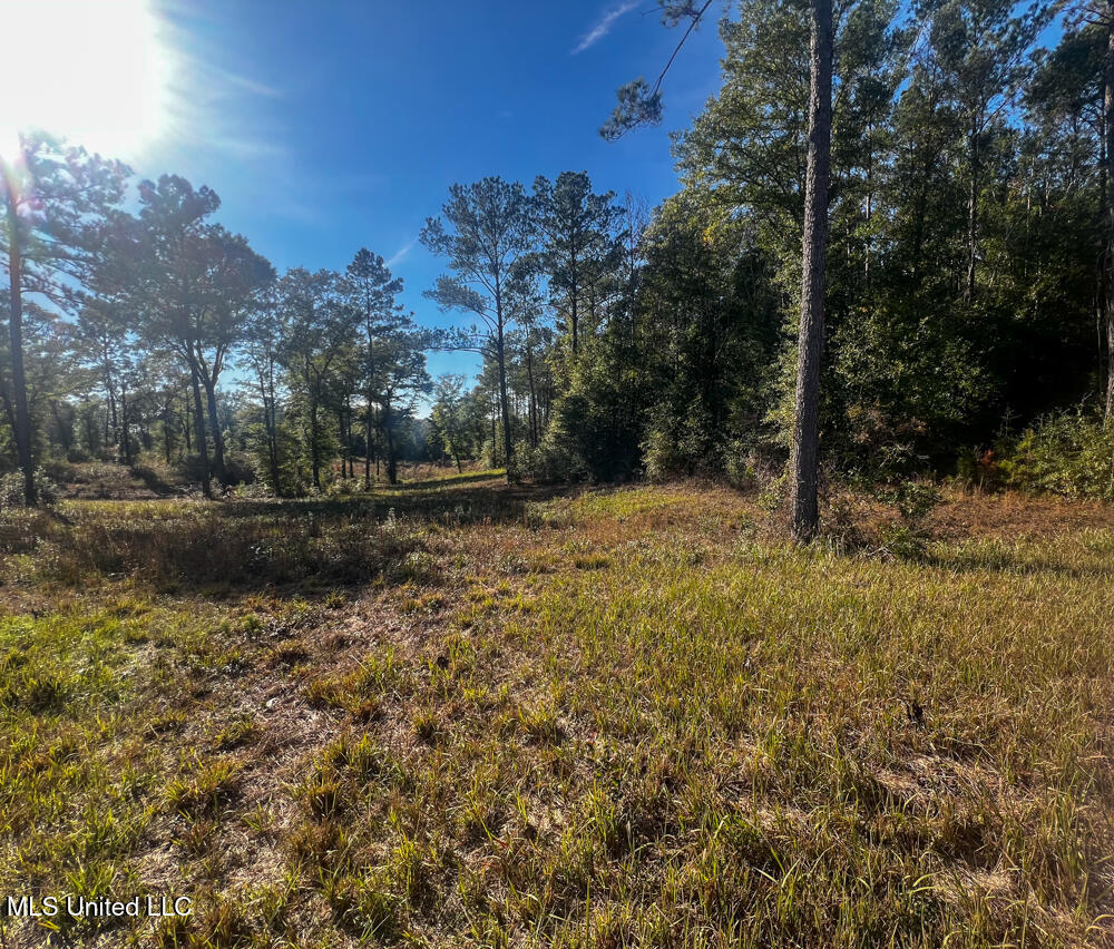 E Highway 198 Property Photo 11