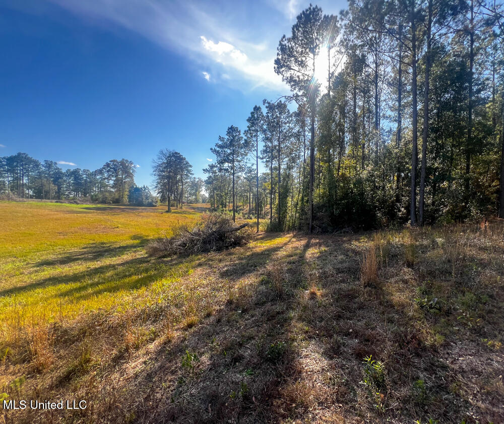 E Highway 198 Property Photo 12