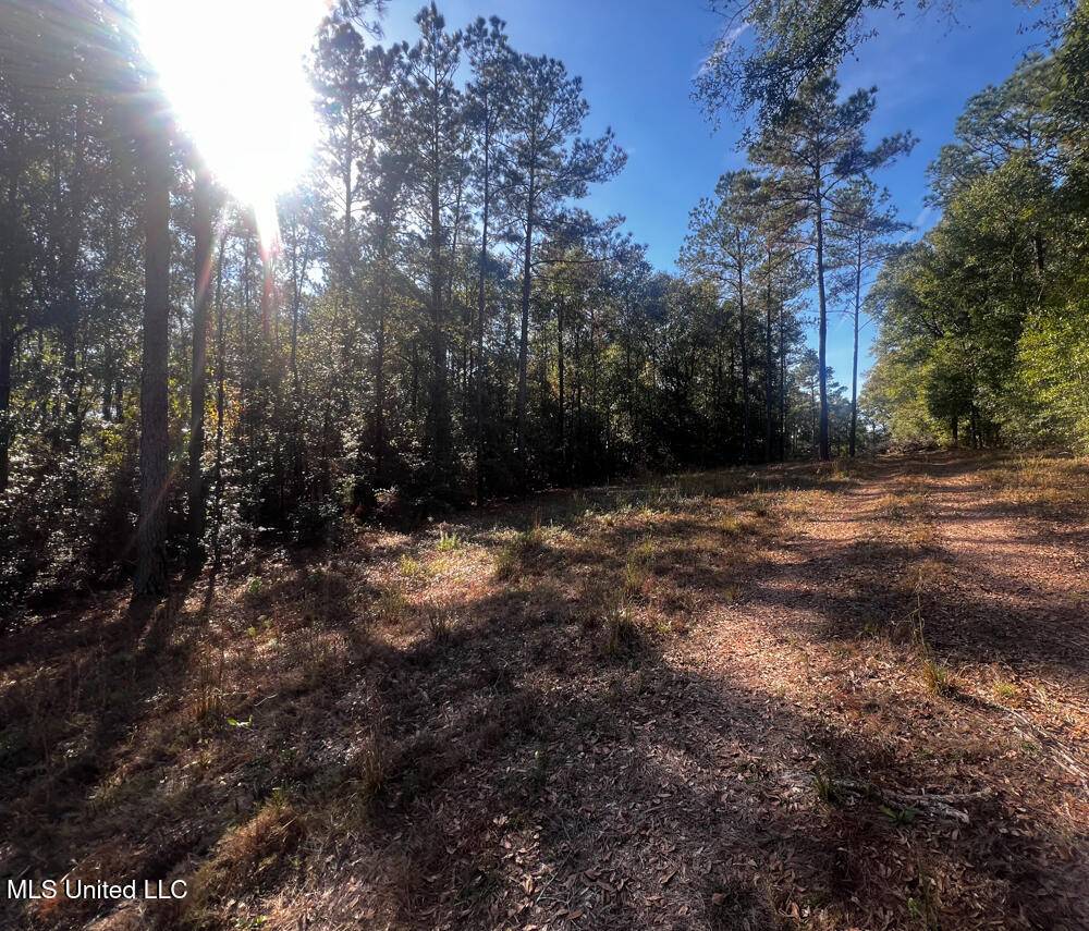 E Highway 198 Property Photo 13