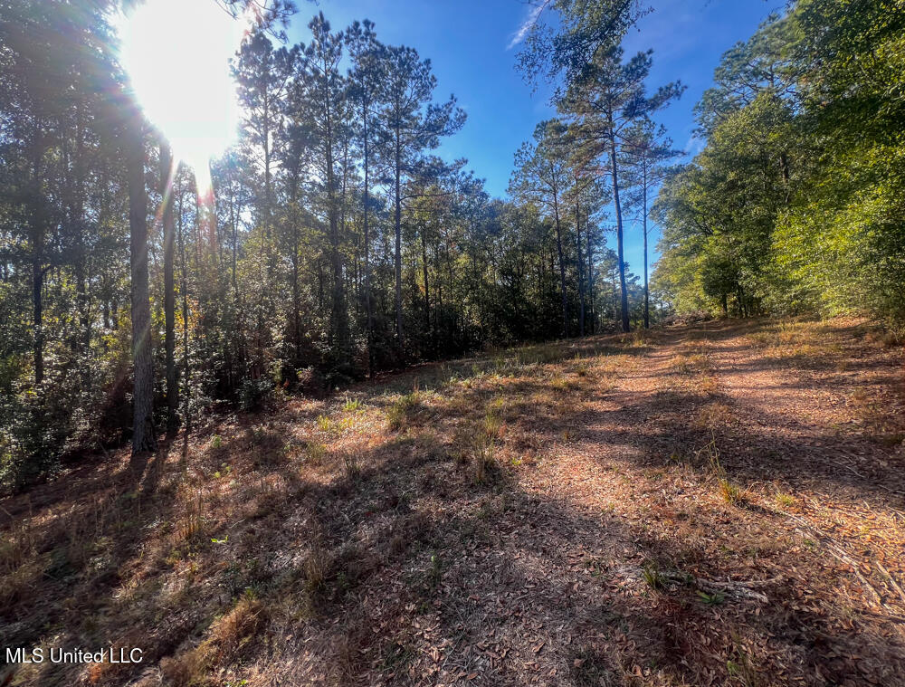 E Highway 198 Property Photo 14