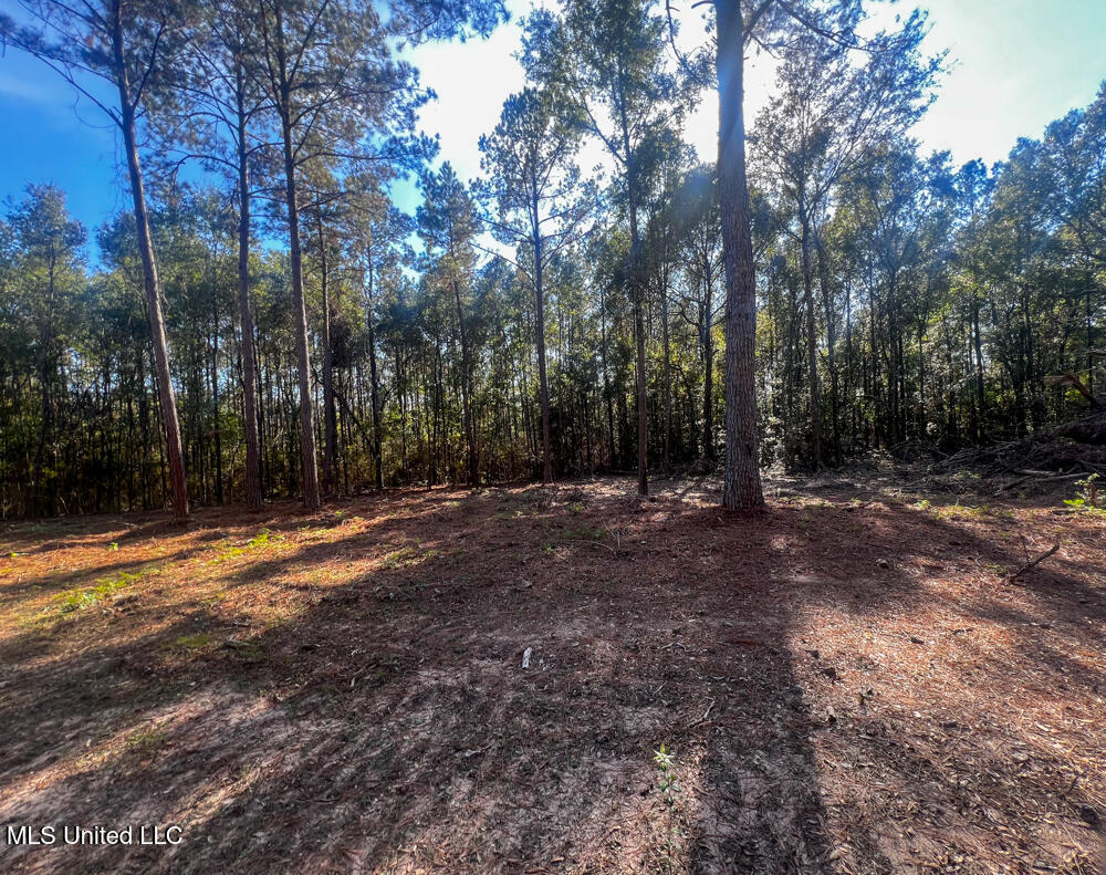 E Highway 198 Property Photo 15