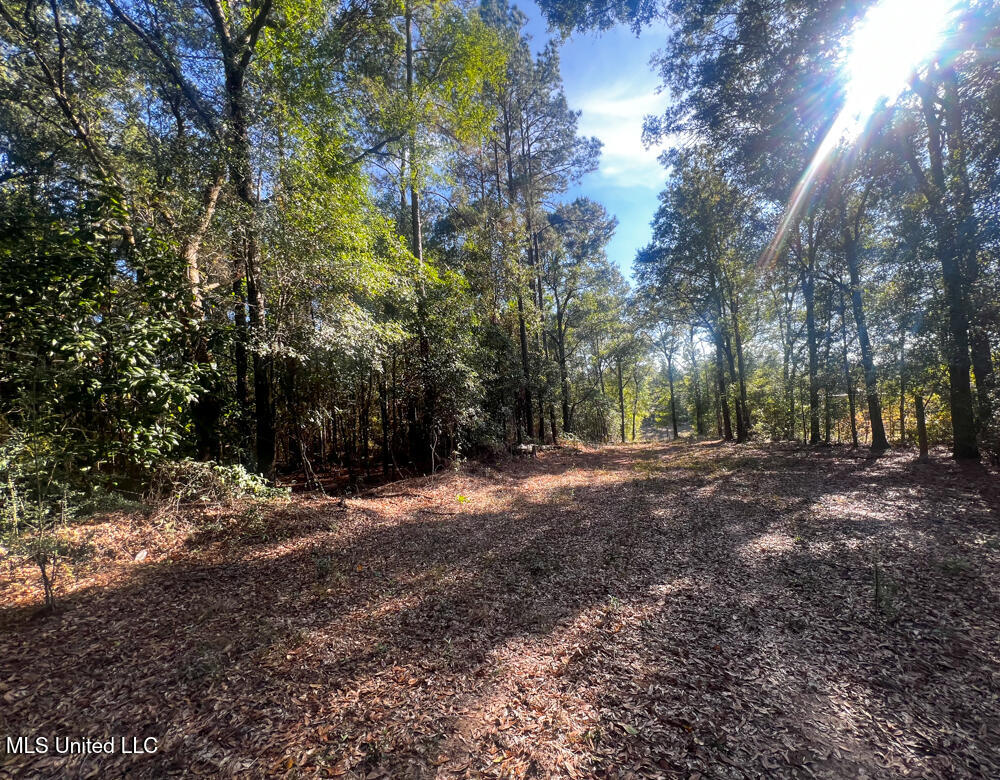 E Highway 198 Property Photo 16